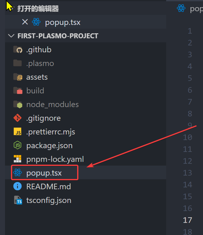 根目录的popup.tsx